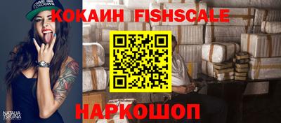 стафф Кингисепп