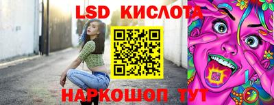 стафф Кингисепп