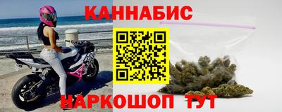 стафф Кингисепп