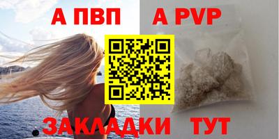 стафф Кингисепп