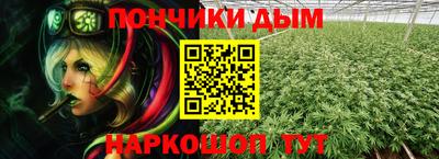 стафф Кингисепп