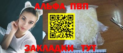 стафф Кингисепп