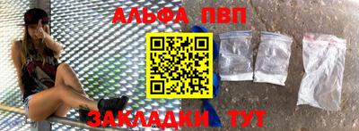 стафф Кингисепп