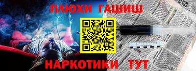 стафф Кингисепп