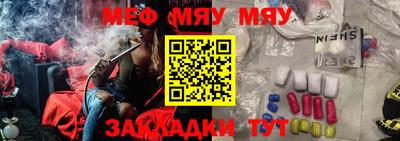 стафф Кингисепп
